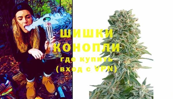 винт Арсеньев