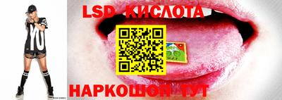 дживик Аргун
